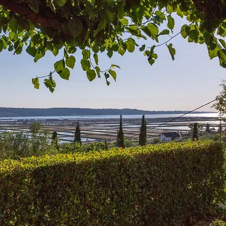 Lägenhet Stella Portorož